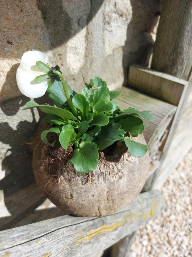 Thames Head Wharf - Historic Cotswold Cottage With Stunning Countryside Views Cirencester Esterno foto